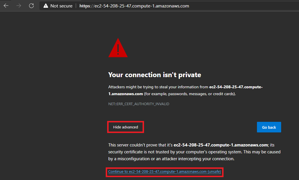 Browser warning “Your connection isn’t private” with the Advanced section expanded and the Continue to the site link highlighted.
